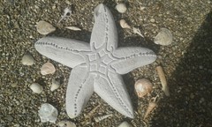 image: 20190729_162809.jpg