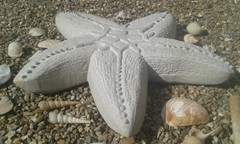 image: 20190729_162828.jpg