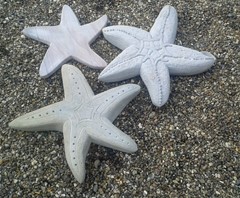 image: 20190923_160744.jpg