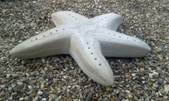 image: 20190923_160807.jpg