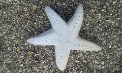 image: 20190923_160757.jpg